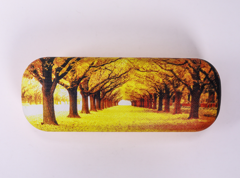 2021 Iron Box Glasses Box The Pattern of The Forest Trail Is Easy To Carry
