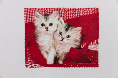 2021 Wipe Cloth, Eyewear Cloth Printed with Persian Cat Pattern